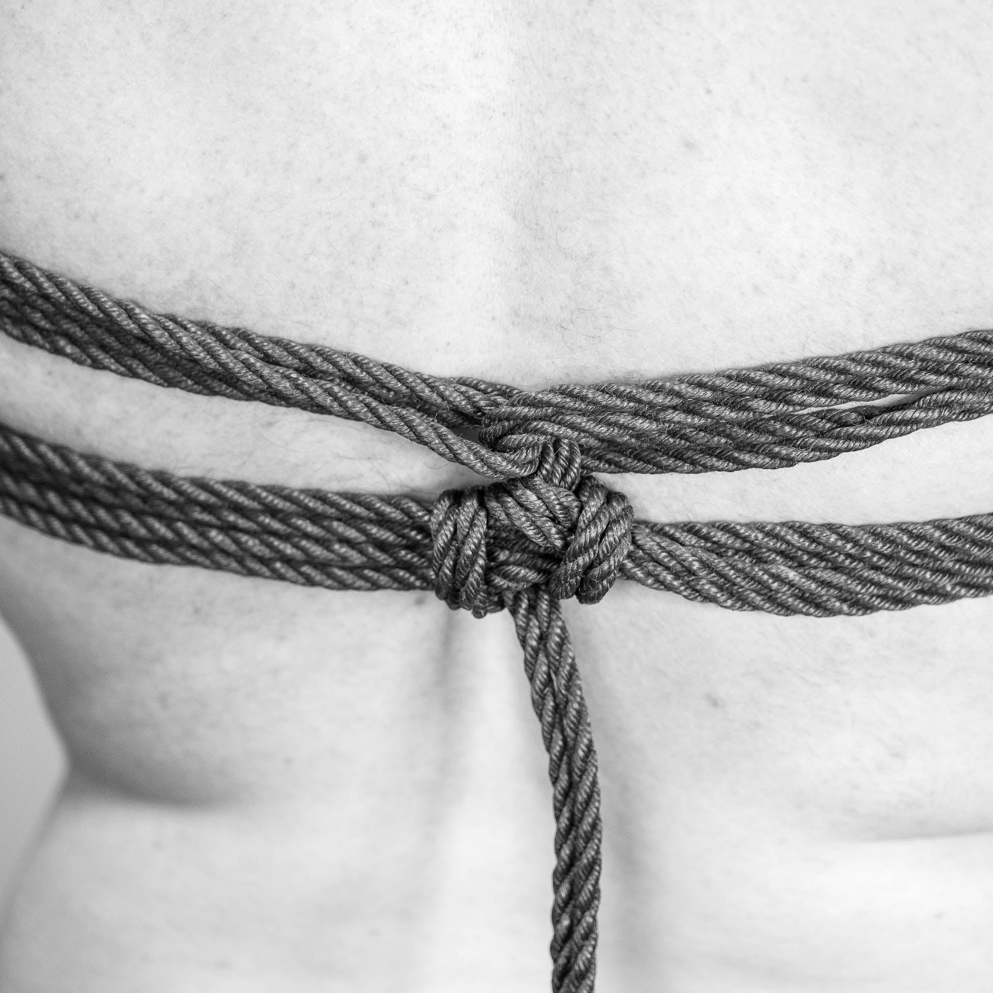 Basic shibari harness - chest- reborn ropes