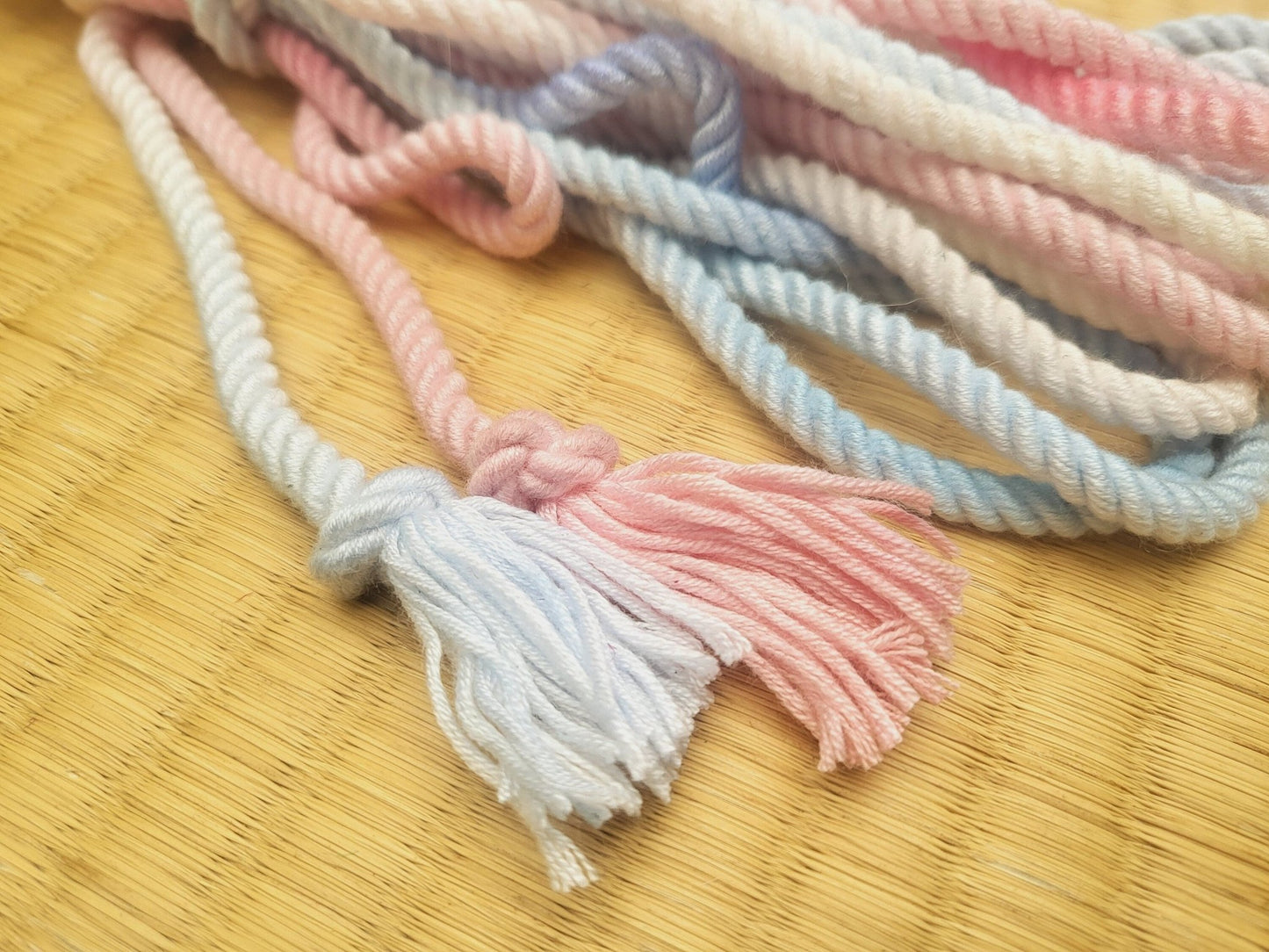 Bamboo ‘Baby - True Trans Pride’ bondage rope - RebornRopes