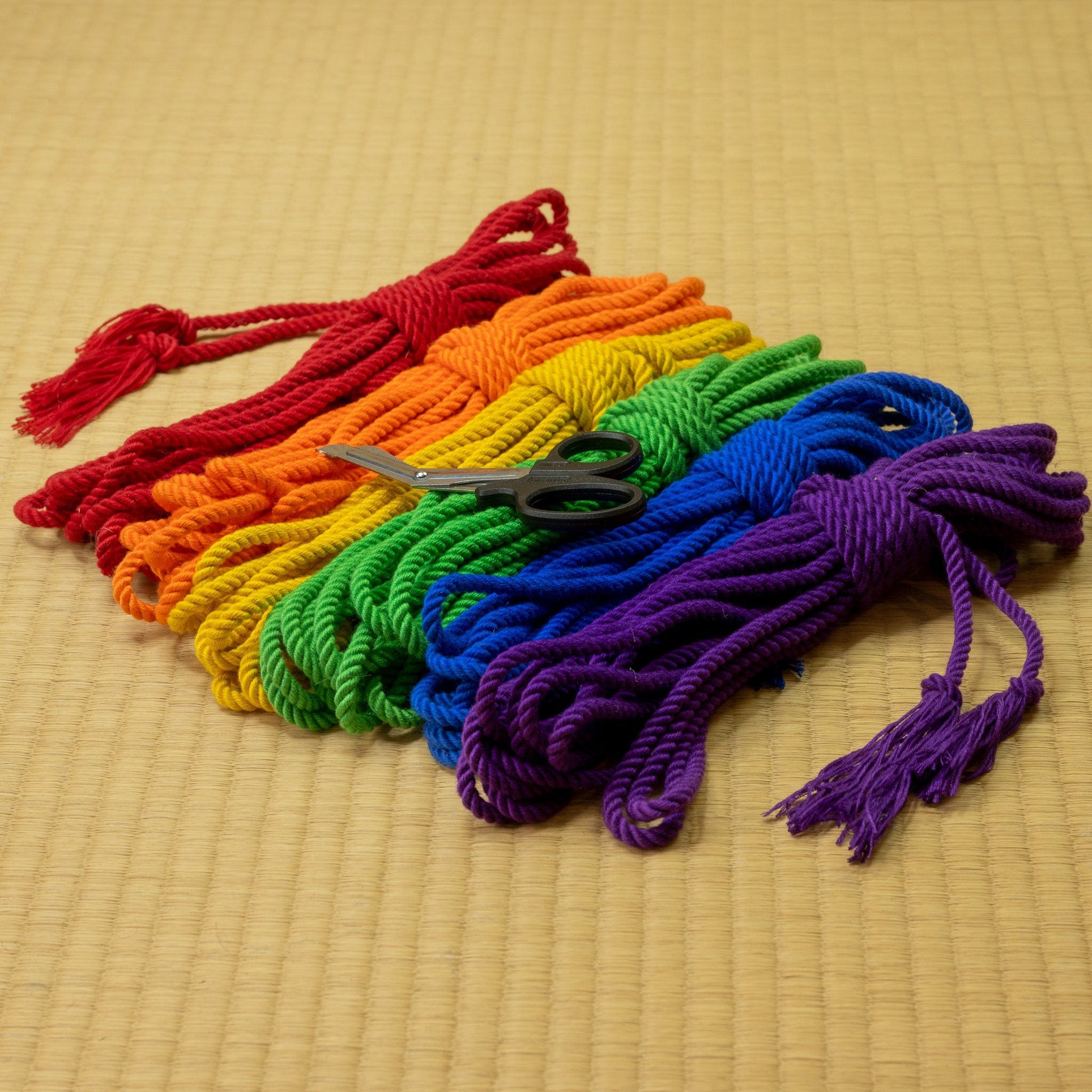 Bamboo ‘PRIDE Rainbow’ bondage rope kit - RebornRopes