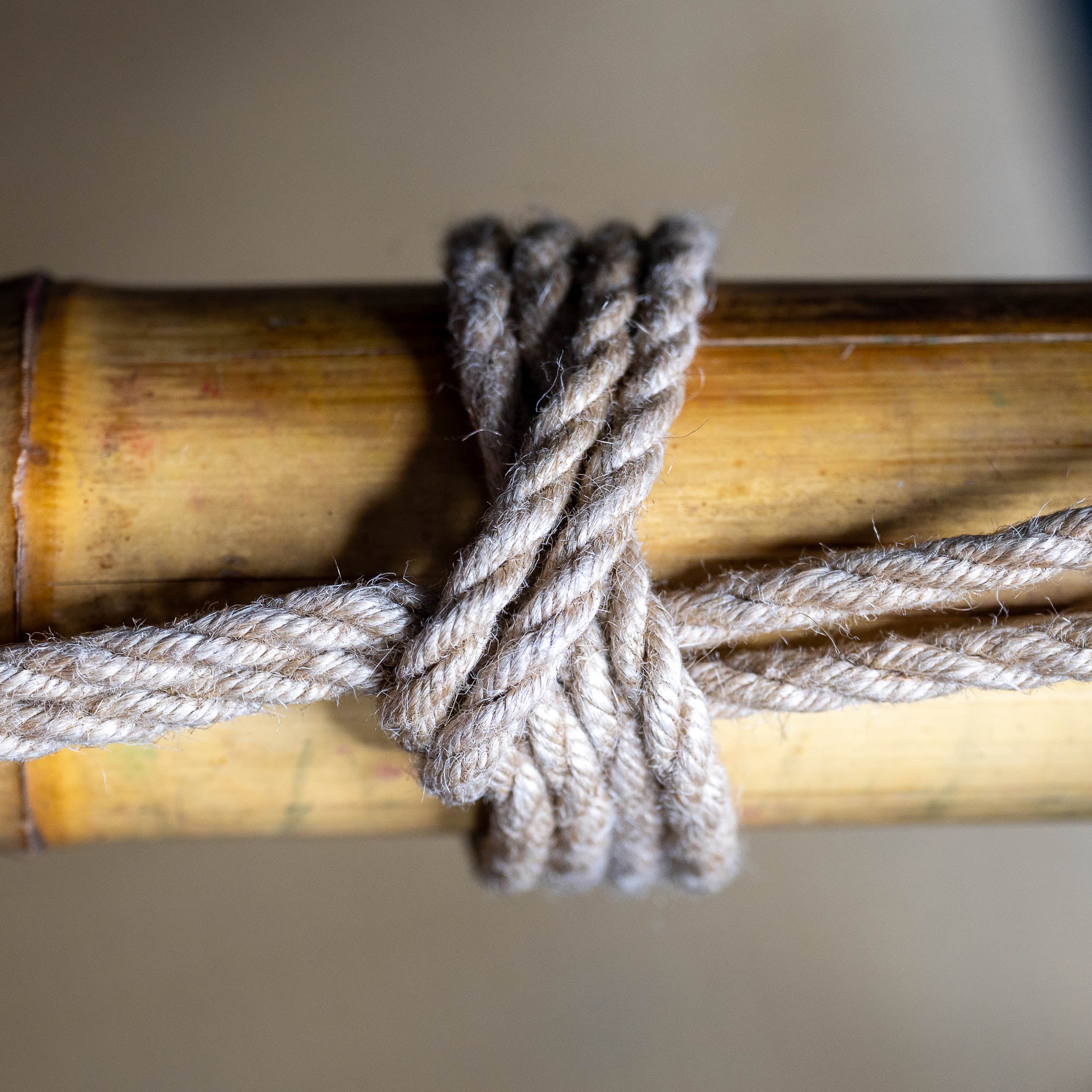 Shibari knot: Half-knot Jute rope on bamboo