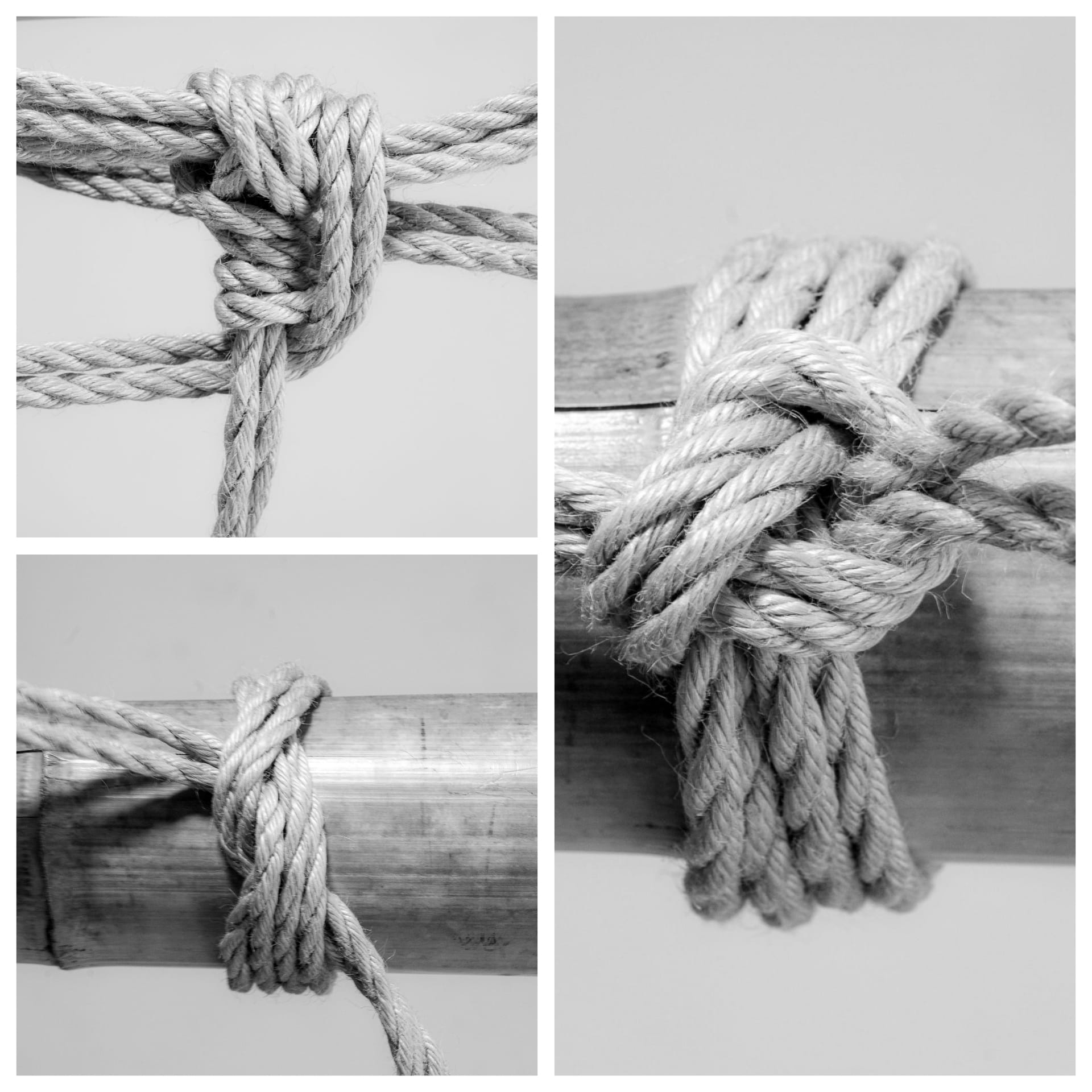 Musubi (結び) - knot shibari